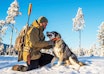 Lever med ulver: Ulvens tilbakekomst i jaktterrengene gjør at jegerne må ta nye forholdsregler. ulv, hund og ulv, jakthund angrepet av ulv
