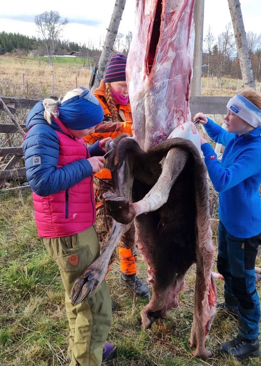 Elgen flåes og yngre garde slippes til med kniven. Fra venstre Alma Bråstad Lien, Helene Hovde og Kristina Solberg. Unge jenter som flår elg