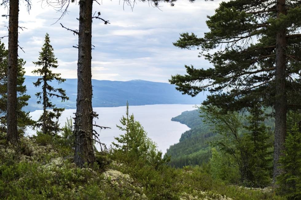 Få oversikt: Hvis du har rotet deg vekk – søk opp i høyden for å få oversikt. Få oversikt: Hvis du har rotet deg vekk – søk opp i høyden for å få oversikt.