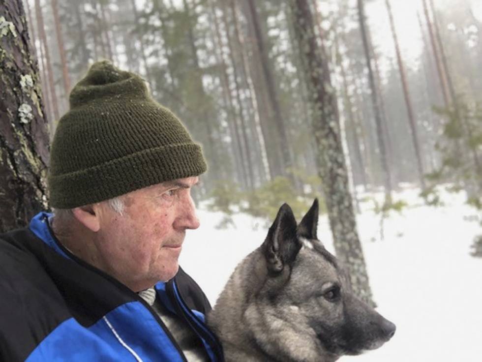 Skyldes ettersøk: Ralf Campbell i Follo og Østfold Elghundklubb tror ettersøkshund-kravet forklarer mye av svarthundens nye popularitet. Skyldes ettersøk: Ralf Campbell i Follo og Østfold Elghundklubb tror ettersøkshund-kravet forklarer mye av svarthundens nye popularitet.