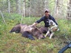 Fokus: Martin Brenne mener fokus og engasjement betyr alt når man skal trene inn en unghund på bjørn. Her sammen med Grom etter vellykket jakt (foto: Martin Brenne) Fokus: Martin Brenne mener fokus og engasjement betyr alt når man skal trene inn en unghund på bjørn. Her sammen med Grom etter vellykket jakt (foto: Martin Brenne)