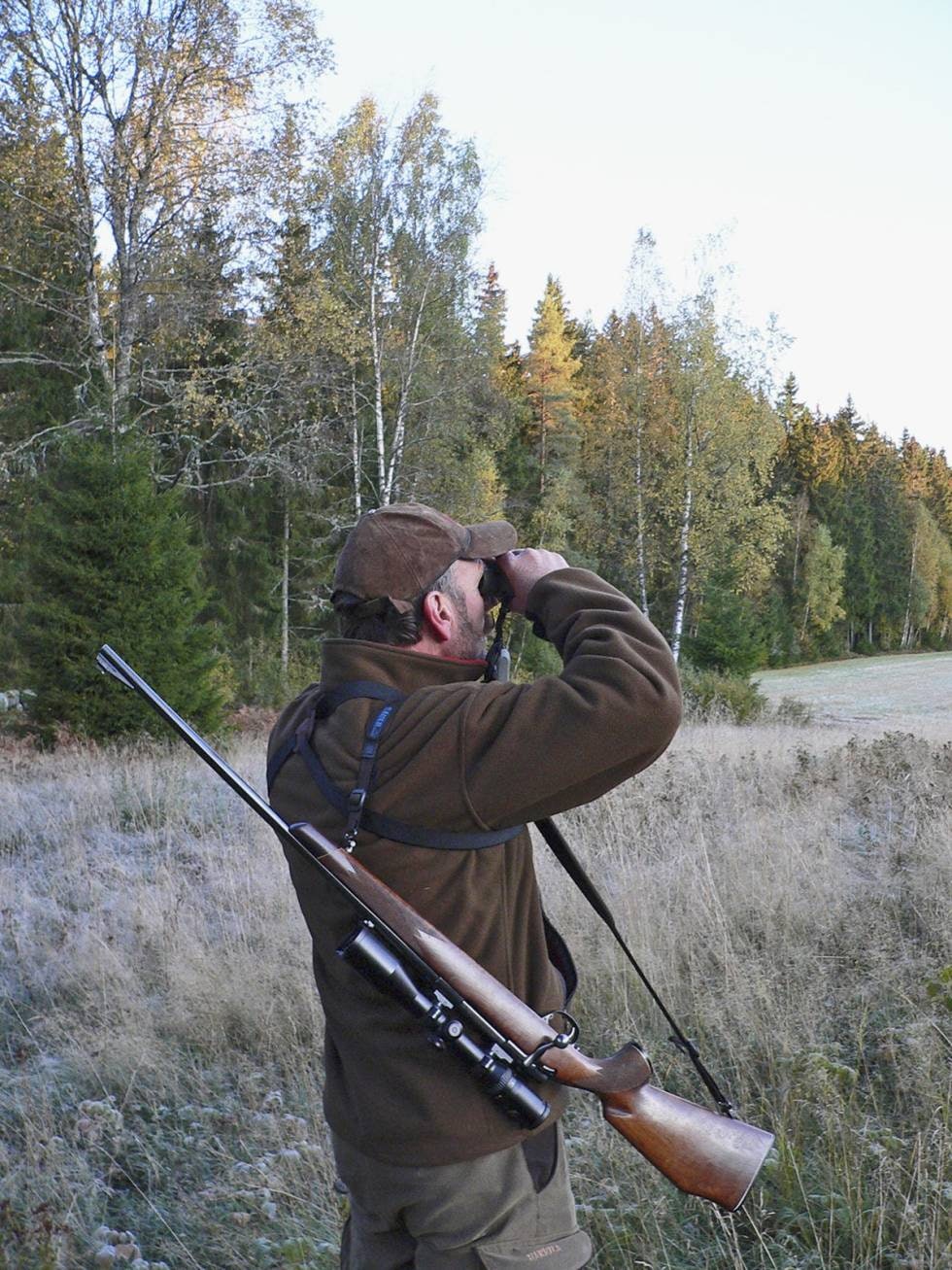 PÅ VEI: Vær på vakt, hold ører og øyne åpne på vei fram til posten. Det kan være gode sjanser for skudd på lovlig vilt hvis du jakter deg ut. PÅ VEI: Vær på vakt, hold ører og øyne åpne på vei fram til posten. Det kan være gode sjanser for skudd på lovlig vilt hvis du jakter deg ut.