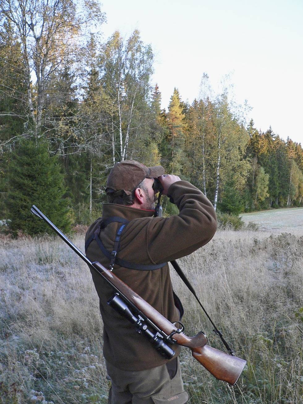 PÅ VEI: Vær på vakt, hold ører og øyne åpne på vei fram til posten. Det kan være gode sjanser for skudd på lovlig vilt hvis du jakter deg ut.