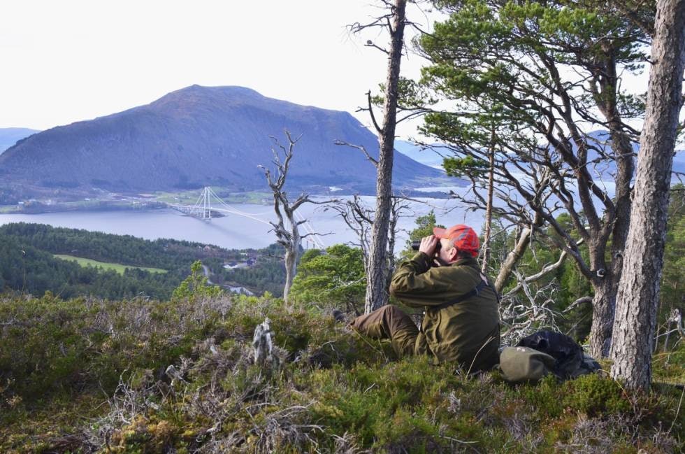 MINDRE JUSTERING: Uten å fravike ufravikelige posteringsordre, er det ofte mulig å flytte seg 10-15 meter og dermed skjerme seg fra en direkte ødeleggende vindretning som kan skremme innkommende vilt.