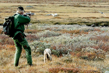 JEGERPRØVEN I APP: Hvilken tilbyder av jegerprøven i app er den beste? jeger rypejakt app jegerprøven