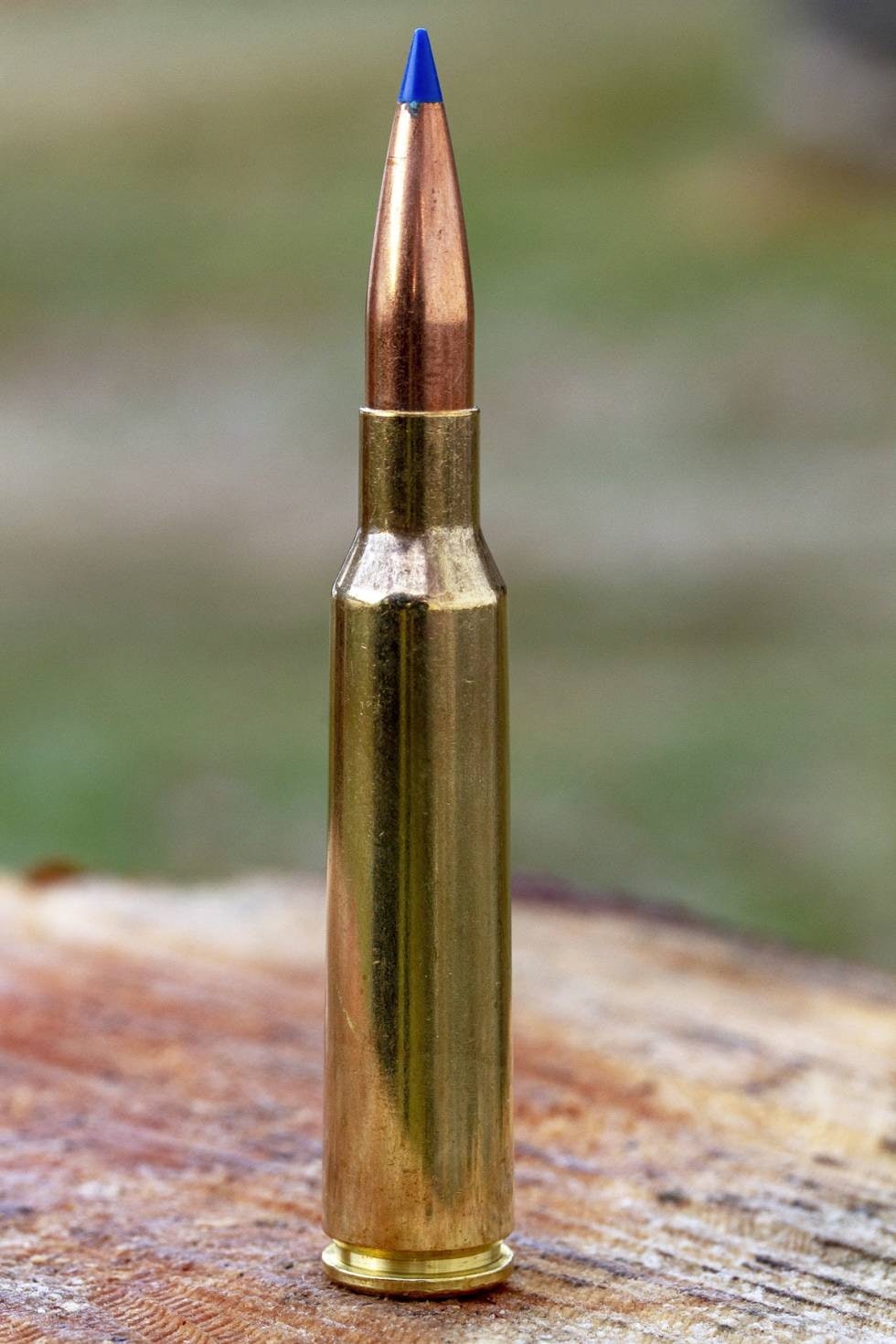 Flyr godt: Med polymerspiss og boat tail er Norma Bondstrike en god patron for lengre hold. test Norma Bondstrike jaktammunisjon jaktkuler