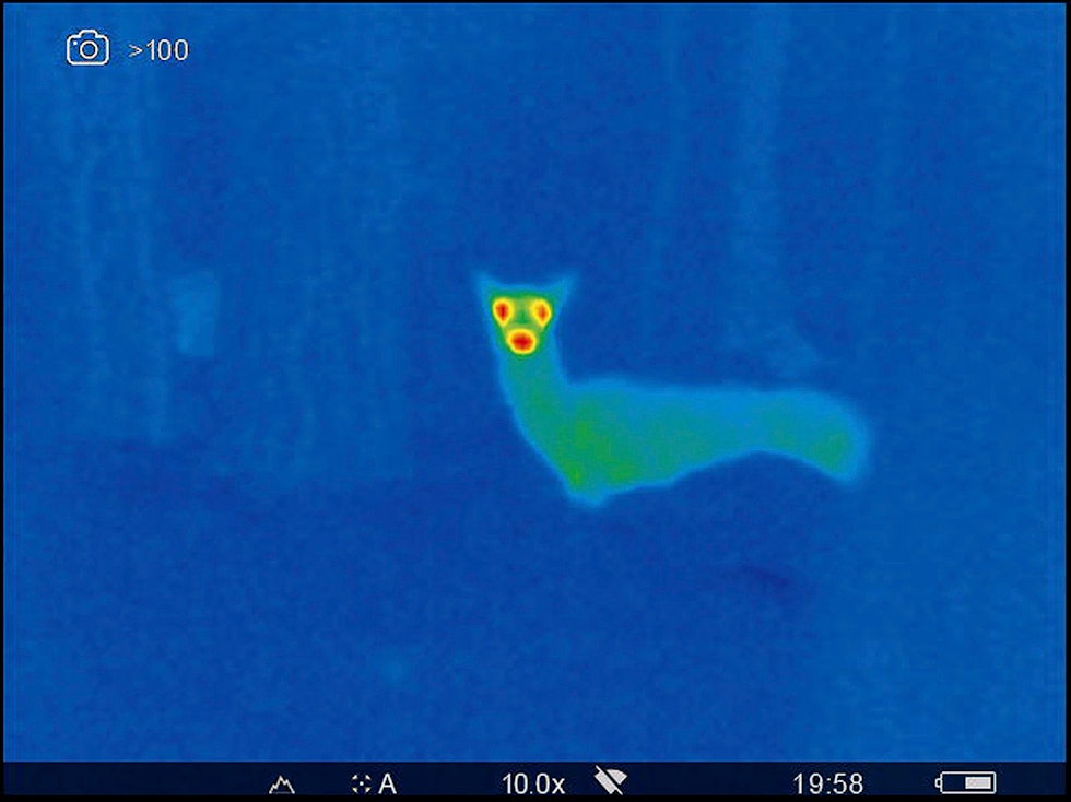 Bildet på Pulsar Accolade termisk kikkert