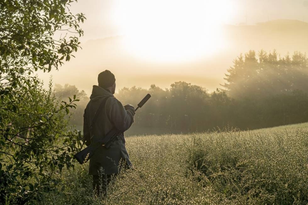 Magisk morgen: Mens skodda sakte siger over grasmark og kornåkre, smyger vi langs perlebelagte enger.