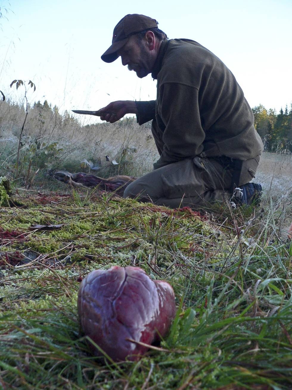 KORREKT UTVOMMING: Allerede ved slakteprosessen legges grunnlaget for et vellykket langtidsopphold i fryseren. KORREKT UTVOMMING: Allerede ved slakteprosessen legges grunnlaget for et vellykket langtidsopphold i fryseren.