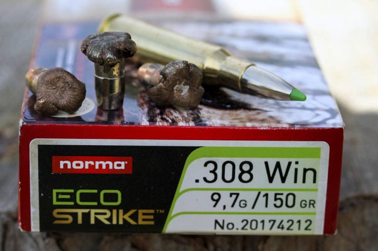 EFFEKTIVE: Jeg har skutt mange dyr i Afrika med forskjellige kuler, men har aldri fått så korte fluktstrekninger som med Norma Ecostrike. EFFEKTIVE: Jeg har skutt mange dyr i Afrika med forskjellige kuler, men har aldri fått så korte fluktstrekninger som med Norma Ecostrike.