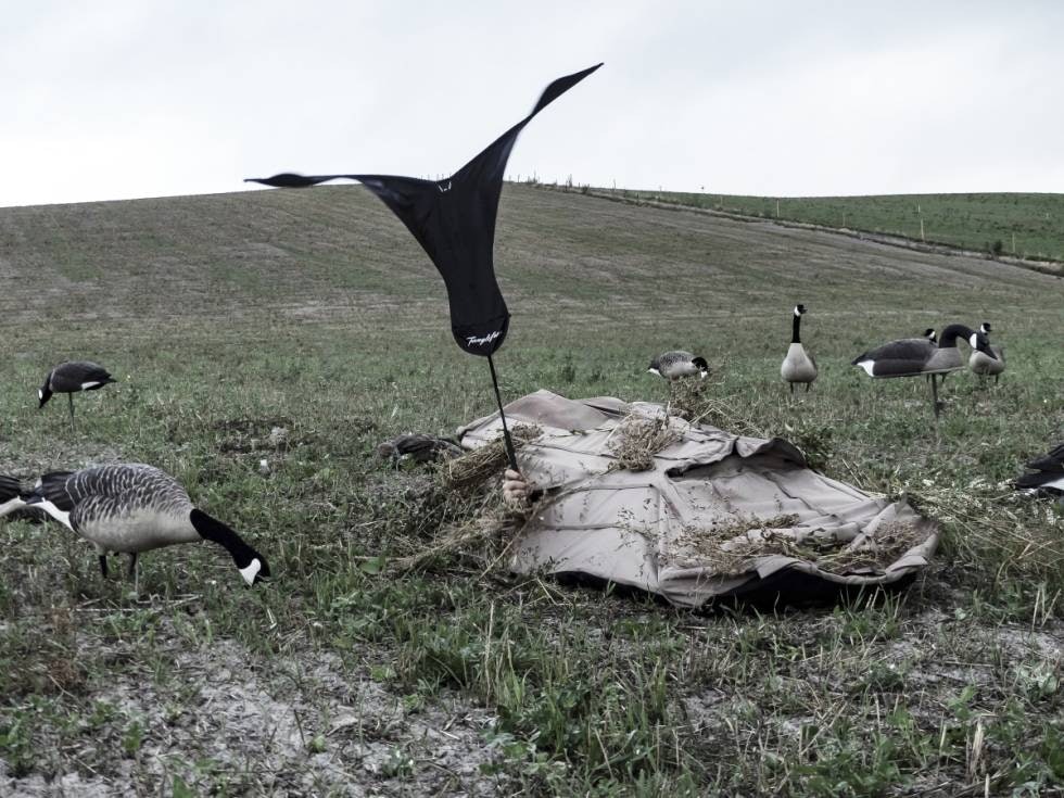 Gi liv til lokkefuglene: Det er en fordel å blande inn noen lokkefugler eller vindsokker som beveger seg og flagrer i vinden for å gi ekstra liv til forræderske bulvaner. Gi liv til lokkefuglene: Det er en fordel å blande inn noen lokkefugler eller vindsokker som beveger seg og flagrer i vinden for å gi ekstra liv til forræderske bulvaner.