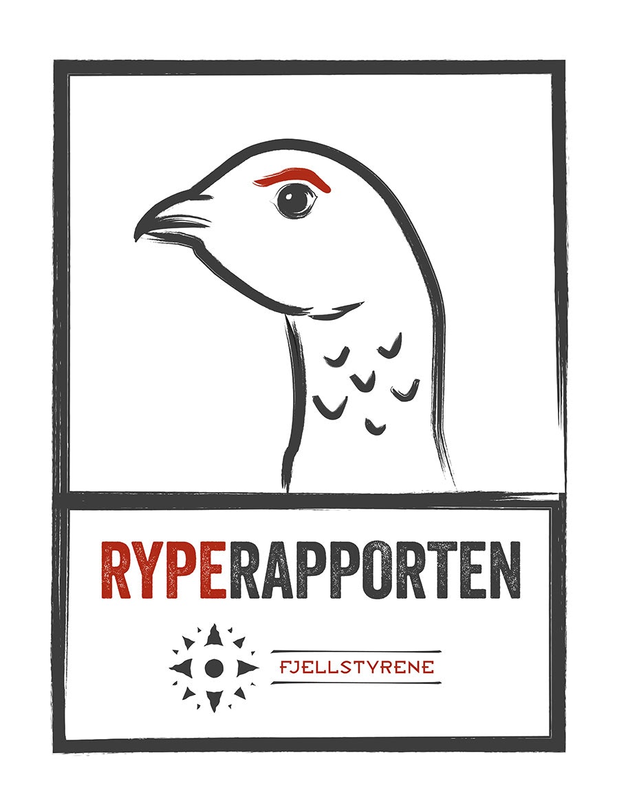 Ryperapporten rype rapporten rypejakt 2021