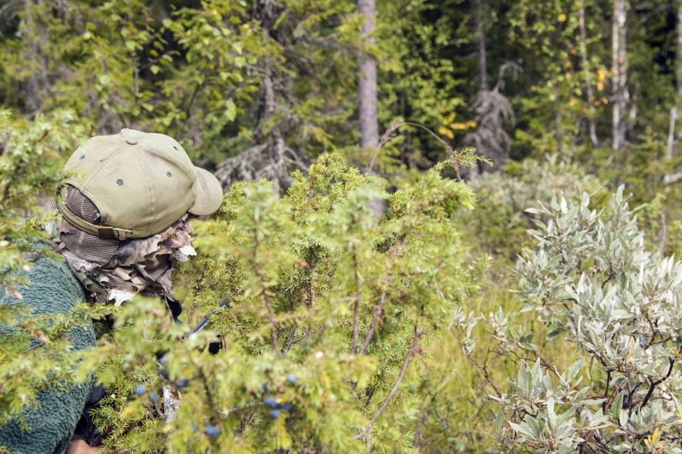 Jaktas kjerne: Smygjakt, enten det er uten hund eller etter lyden av en halsende hund som står i los, betyr sitrende spenning. Jaktas kjerne: Smygjakt, enten det er uten hund eller etter lyden av en halsende hund som står i los, betyr sitrende spenning.