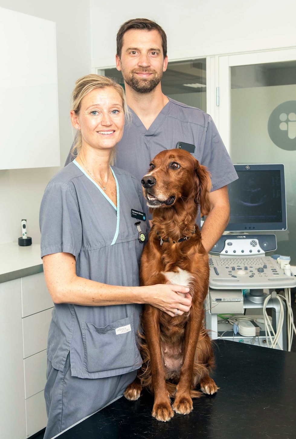 Veterinærer og hund bitt av hoggorm