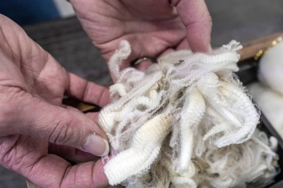 Naturull: Ikke rart at ullundertøyet blir mykt. Slik ser nemlig ren merinoull ut, ubehandlet og rett fra sauen. Nærbilde av ubehandlet merionoull
