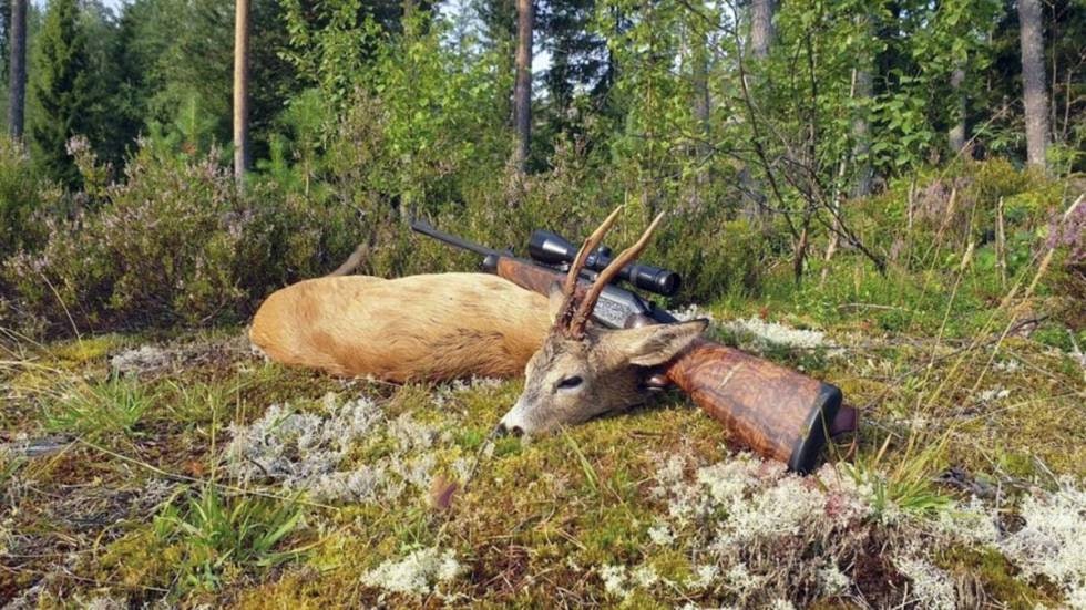Foto: Gaute Lundeberg Aas Foto: Gaute Lundeberg Aas