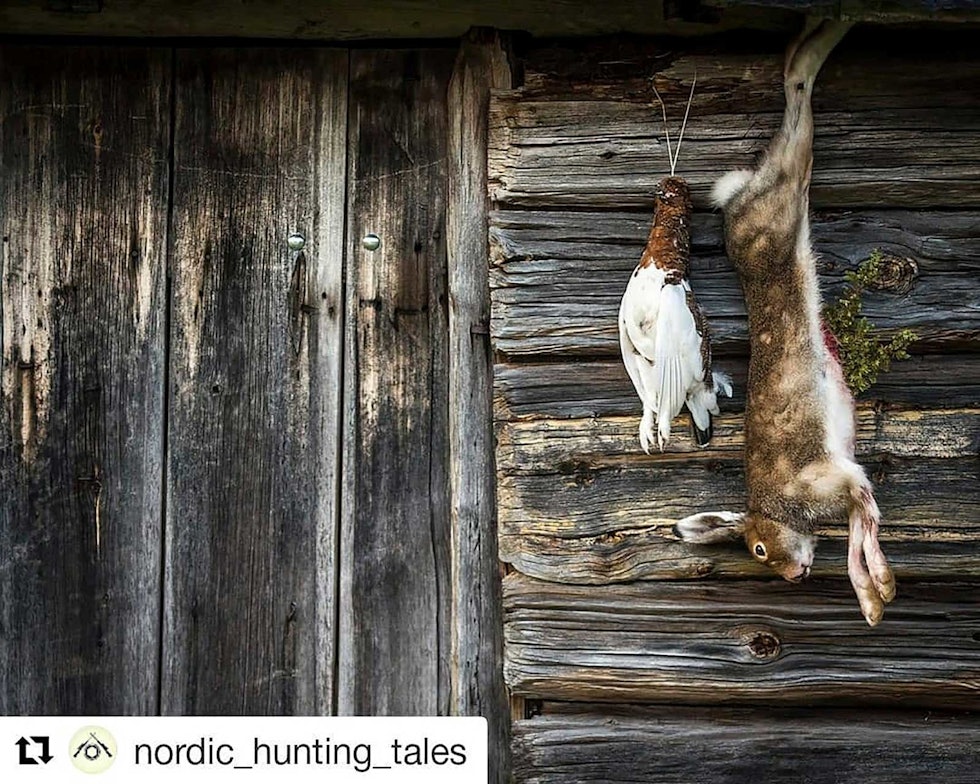 nordic_hunting_tales