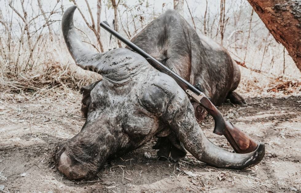 Drømmen om Afrika: Mange jegere drømmer om å få jakte på Afrikas tallrike vilt. Kan det gjøres med god samvittighet?Foto: Kolby Edwards) Drømmen om Afrika: Mange jegere drømmer om å få jakte på Afrikas tallrike vilt. Kan det gjøres med god samvittighet?Foto: Kolby Edwards)