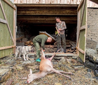 KREATIVT: Det finnes mange kreative slakterom rundt om i landet. Uansett hvordan slakterommet er utformet, så må dyret henges opp når det flås for å ivareta et rent slakt. Foto: Jo Stenersen hjemmeslakt