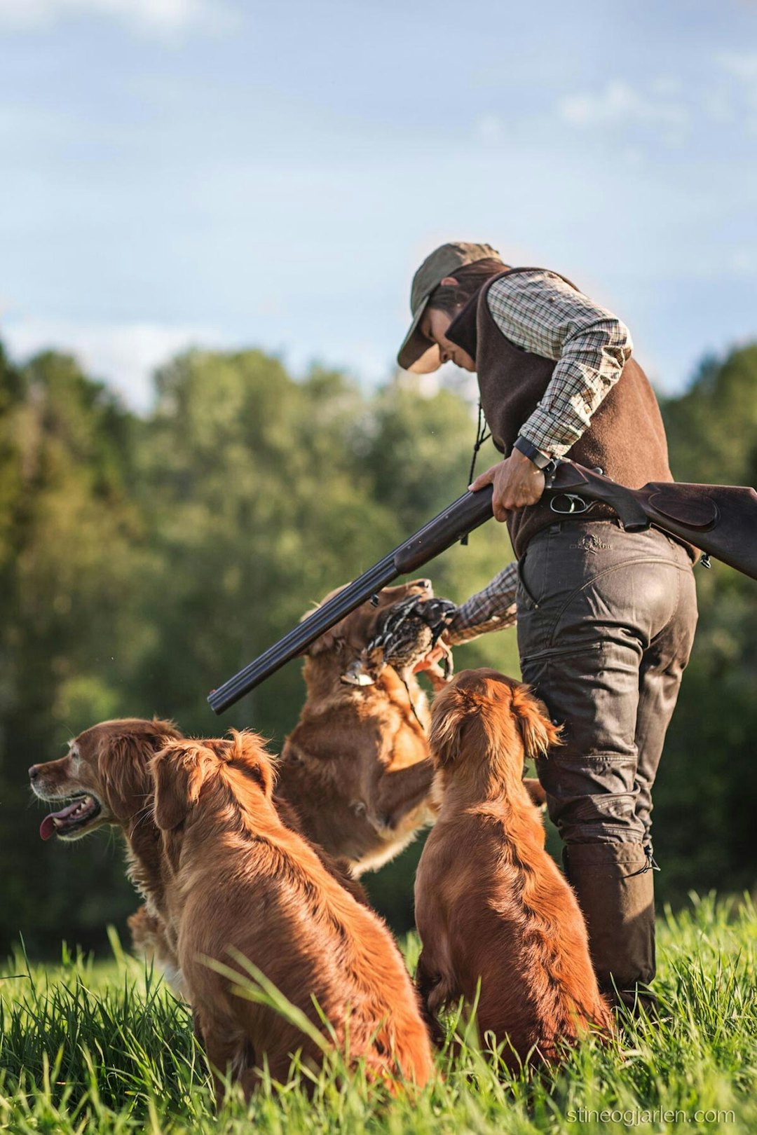 Benedicte Skaarnes i aksjon med hennes jaktlinjer av golden retriever. Foto: Stine & Jarlen jakt golden retriever benedicte skaarnes