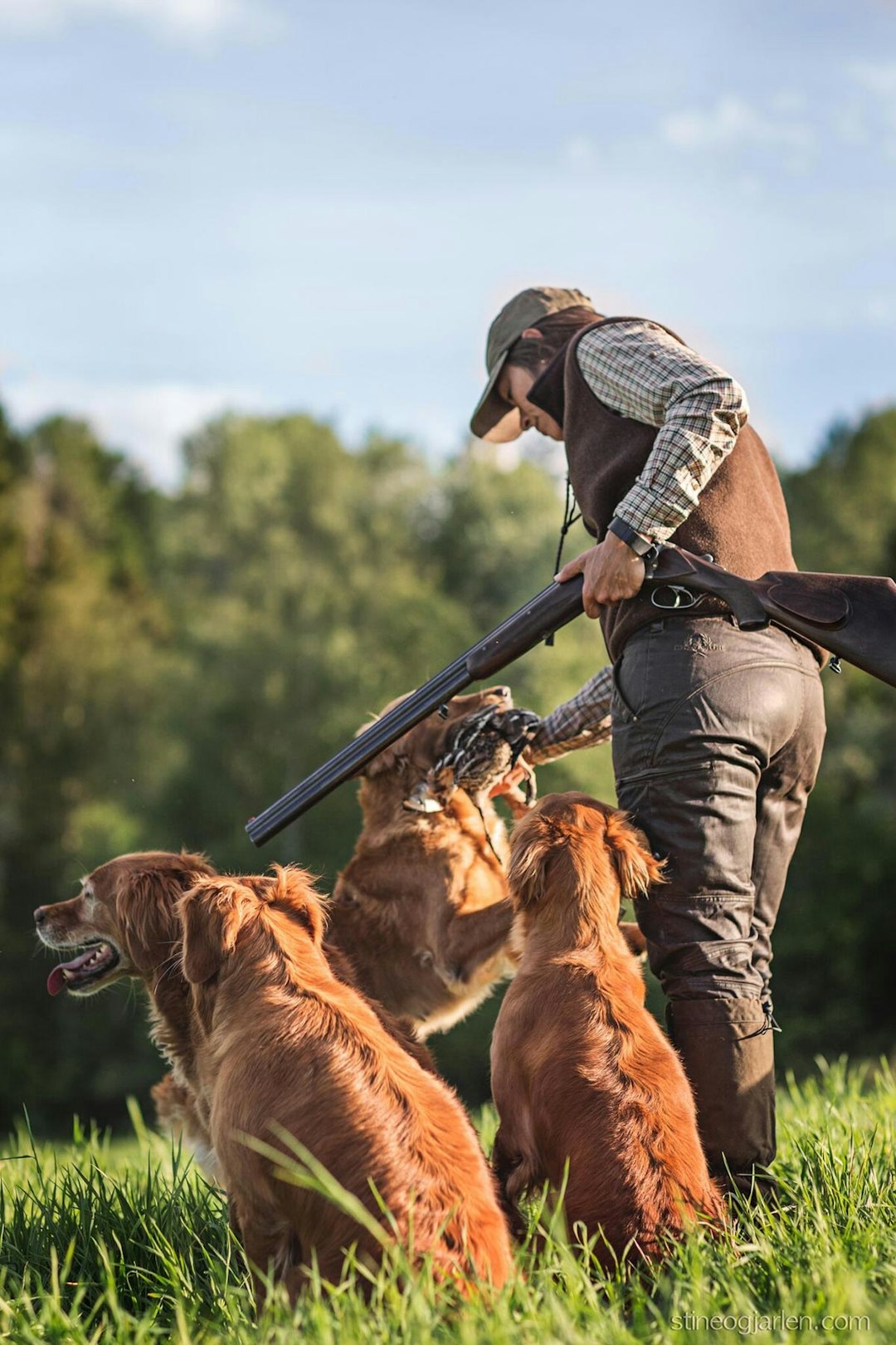 jakt golden retriever benedicte skaarnes