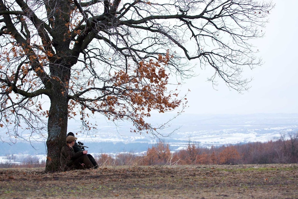 Ryggdekning: Gullsjakalen har meget skarpe sanser, så det er viktig å gli i ett med terrenget og fortrinnsvis sitte eller ligge når det lokkes. Sjakaljakt-i-Bulgaria-2