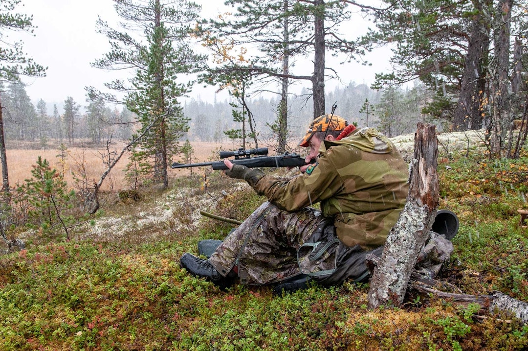 Raskt skudd: Skytteren vrir seg raskt ut av fjellduken og får elgen i sikte. Elgjakt-Budal-Trøndelag-4