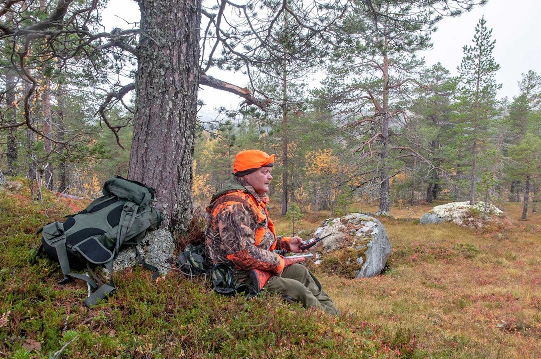 Sauedagen: På post i Storbekklia. Geir Hov Storli venter på elg, men denne dagen ble jakta ødelagt av sau i terrenget. Elgjakt-Budal-Trøndelag-7