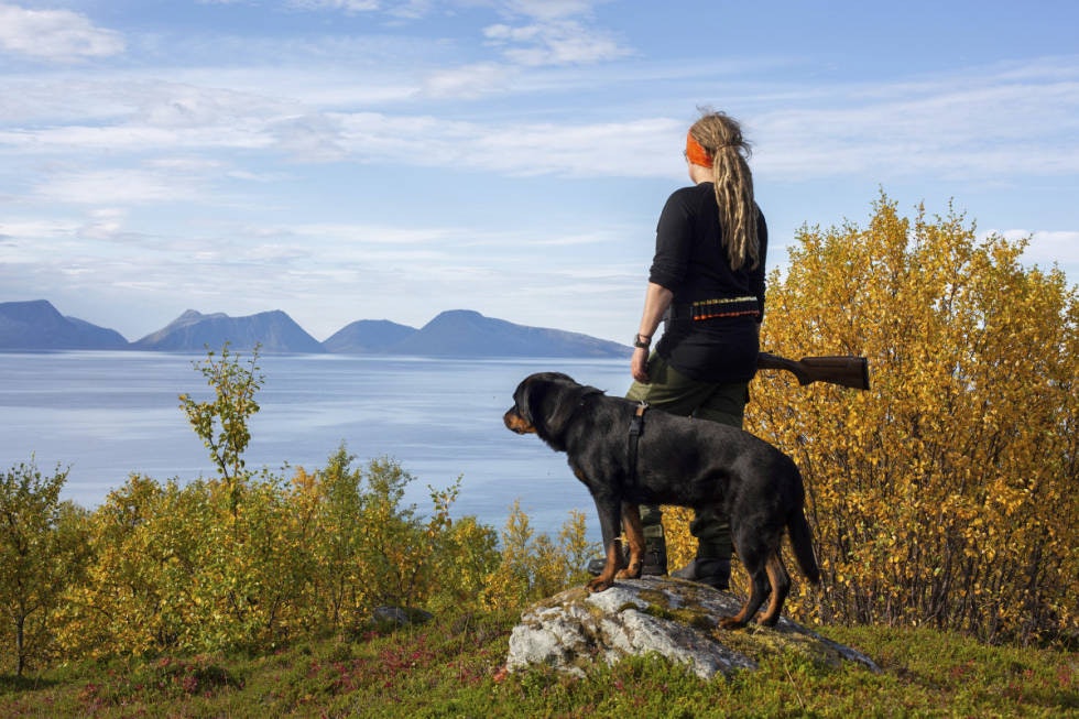 Tur- og jaktvenn: Veien har vært kort og læringskurven bratt for oss begge, men det var helt utenkelig å ikke ta med Tellus på jakt. Her har vi en nydelig høstdag på Vannøya i Troms. Tur- og jaktvenn: Veien har vært kort og læringskurven bratt for oss begge, men det var helt utenkelig å ikke ta med Tellus på jakt. Her har vi en nydelig høstdag på Vannøya i Troms.