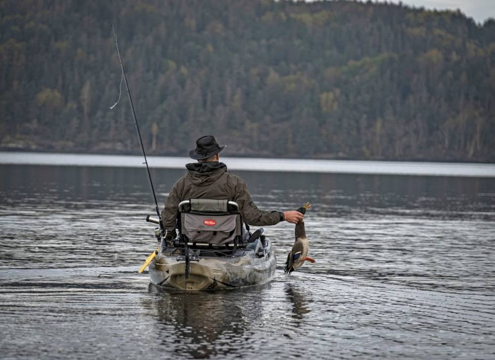 Allsidig jakt: En stokkand forviller seg også inn på skuddhold, og vil gjøre seg godt som middagsmat.