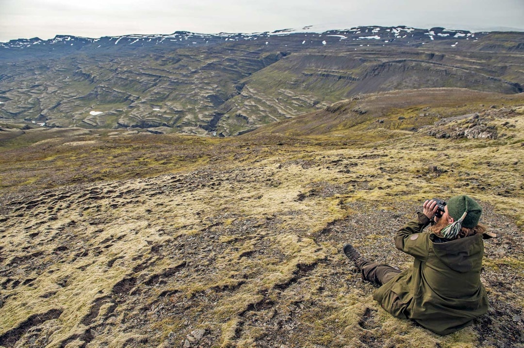 REIN I SIKTE: Guiden visste hvor det var observert rein. Vi kjørte flere mil langs gamle hjulspor innover i fjellet, og stoppet på høyereliggende plasser langs slepene for å saumfare terrenget med kikkerten. Her har Gunnar akkurat oppdaget en flokk på omlag tjue dyr på den andre siden av dalen. Pulsen steg brått et par hakk nå. Villreinjakt-Island-2