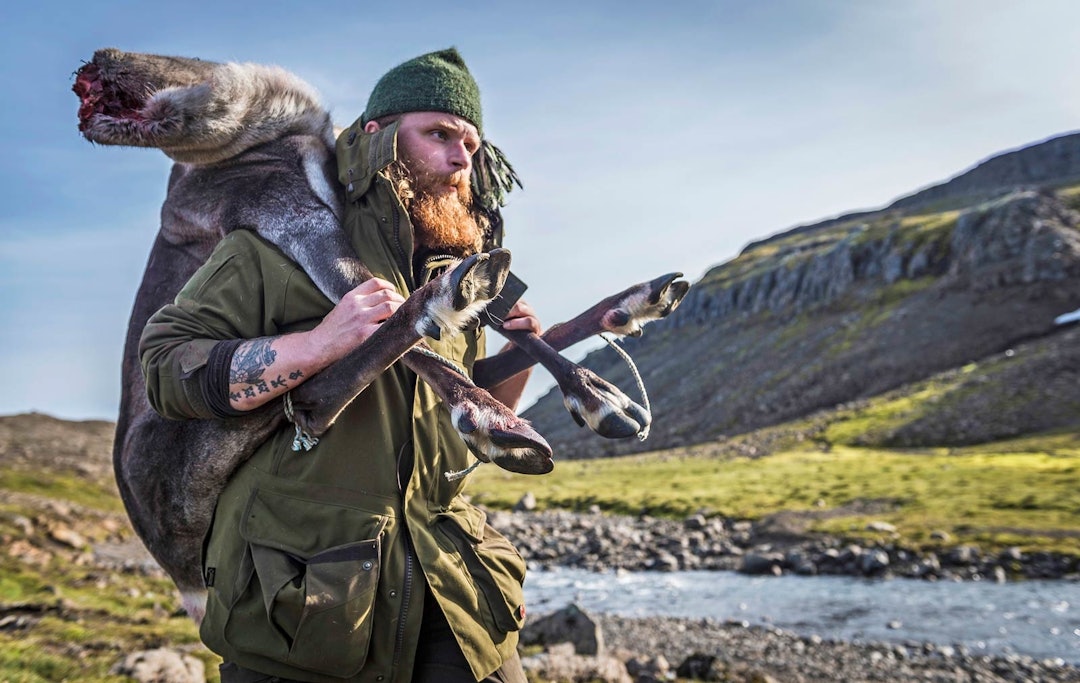 REINS-SEKK: På Island jakter de lett. Det er sjelden at de bruker ryggsekk for å bære dyret fram etter at det er skutt. Simla på drøyt 40 kg slengte Gunnar på ryggen, og bar den fram til bilen en drøy times gange unna. Bæreteknikken er hensiktsmessig for å unngå skitt og smuss på slaktet. Villreinjakt-Island-8