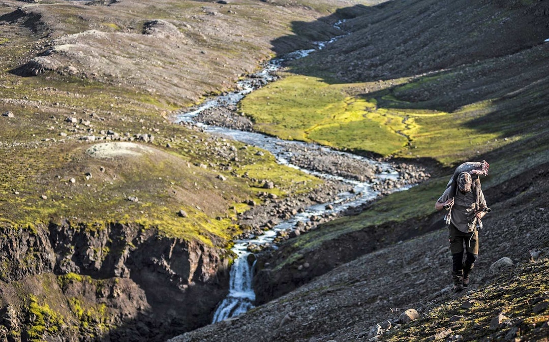 SEIGT TERRENG: Kreftene settes på prøve når elver og seige dalsider med løs stein og grus skal passeres. Likevel gliste gutta bredt under hele veien tilbake til bilene. Det å bære kjøtt etter en suksessfull jakt er ofte veldig tungt slit, men børen er likevel på mange måter lett å bære. Villreinjakt-Island-9