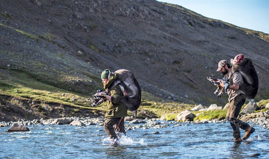 Villreinjakt-Island-10 Villreinjakt-Island-10