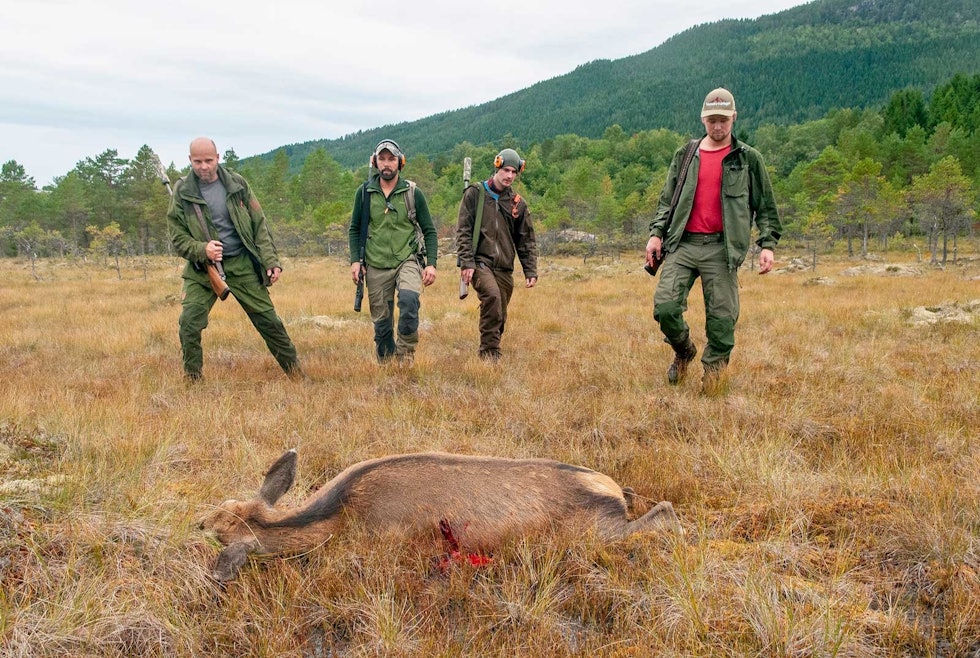 Klar for innsats: Hjortkolla ligger der den falt i blautmyra, og nå står utvomminga for tur. Fra venstre Ove Meisingset, Thomas Holmeide, Hallvar Meisingset og Magnus Gjøvik. Storviltjakt-Nordmøre-4