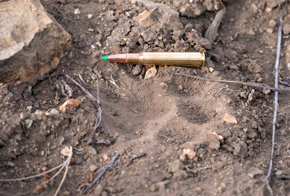 Stor pus: Om det er svære bukker, enorm kondor eller smidig puma som er bergenes konge, behøver vi ikke diskutere. Den dagen vi fant ferske pumaspor, var det fint lite hjort å se. Patronen er i kaliber 30.06. Hjortejakt-i-Argentina-Patagonia-3