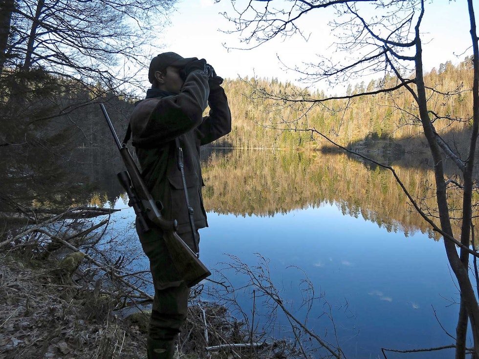Ingen vår uten bever: Jeg er ikke så opptatt av om det blir fall, men det blir liksom ikke vår uten kaffe og lefsekling ved Hellsjøvann. Beverjakt-4