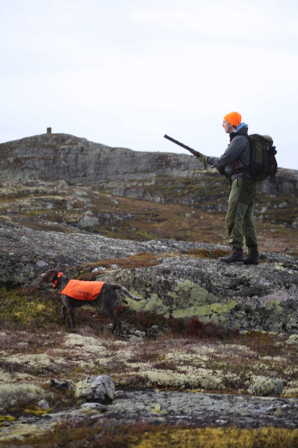 Heit i hodet: Vinja står som en spent fjær i stand og venter på de forløsende ord. Rypejakt-Trillemarka-3