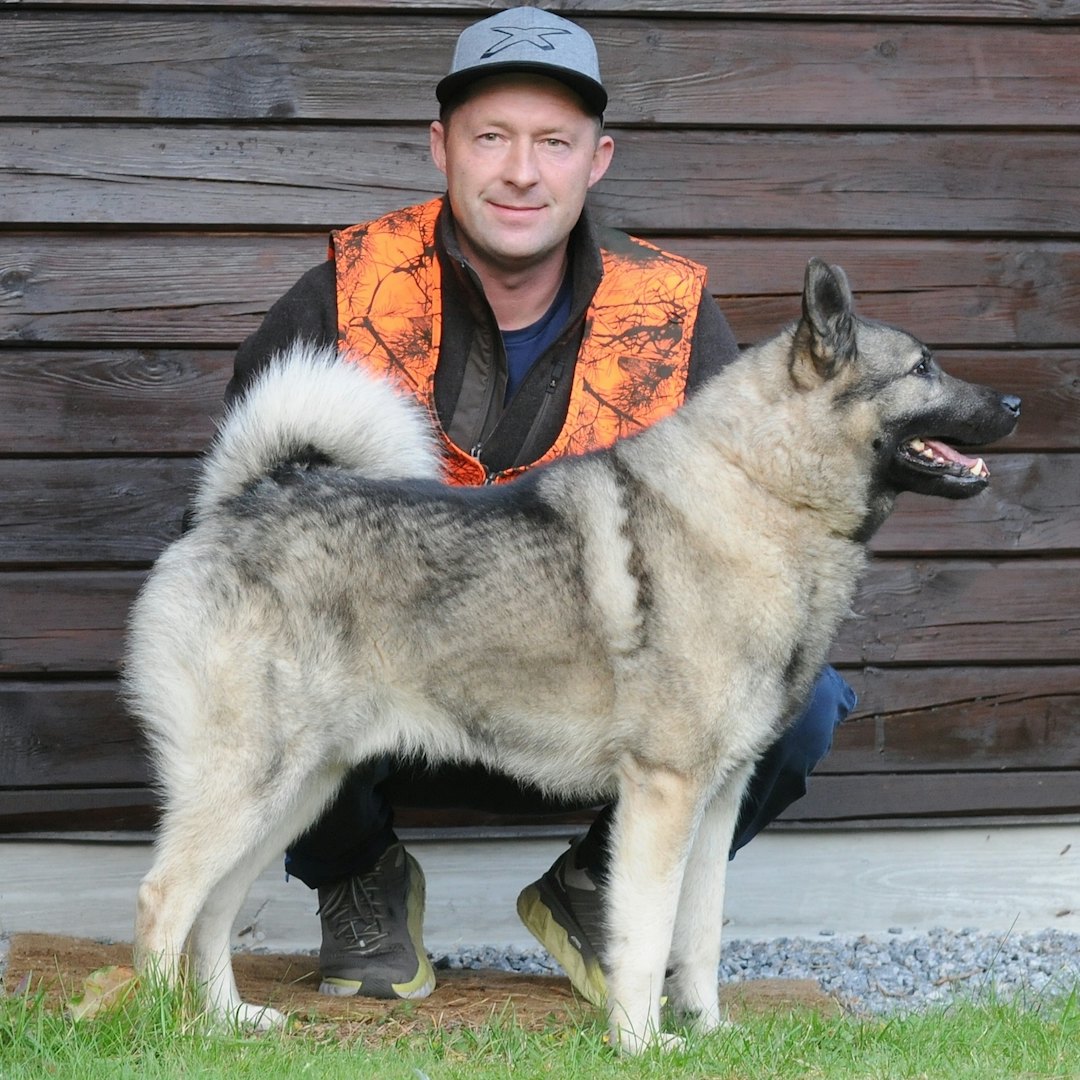 Nr 1 i NM Olav Willy Eriksen med Ero av Gausbu Vinner Nm 2020