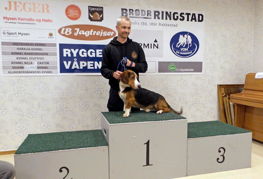 Nordisk-mesterskap-hundeutstilling-5