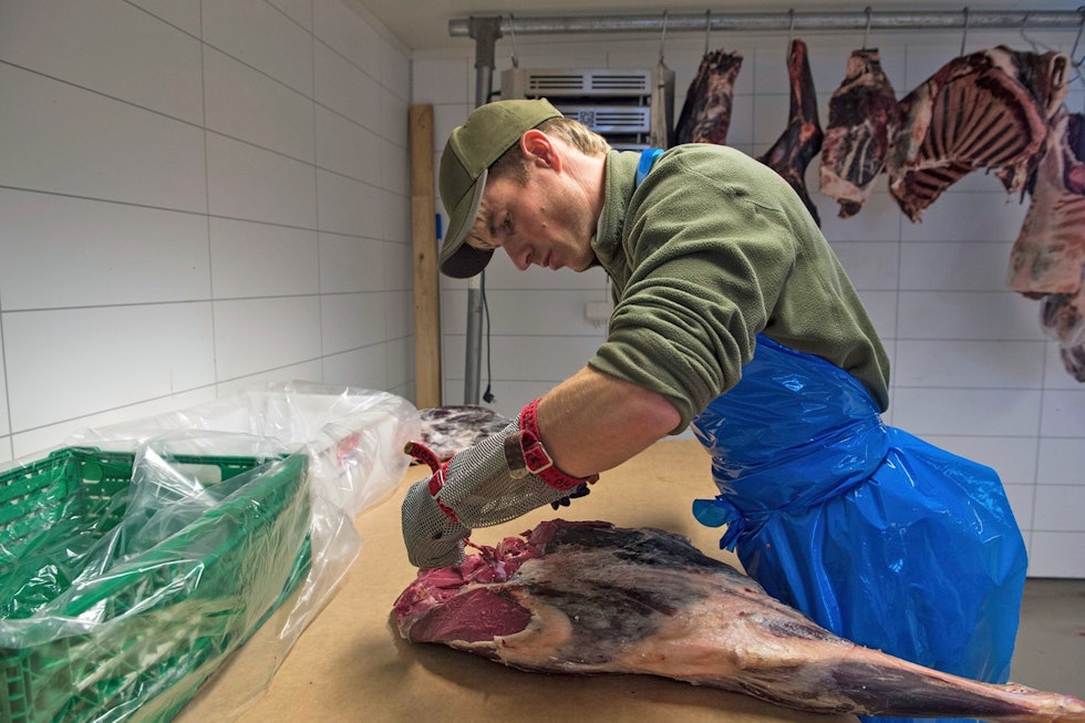 YMSE KJØTTBEHANDLING: Som slakter støter Joar på store variasjoner i kjøttbehandlingen. Han kvir seg ikke for å si nei til slakt han mener er for dårlig håndtert. Joar Søhoel slakter