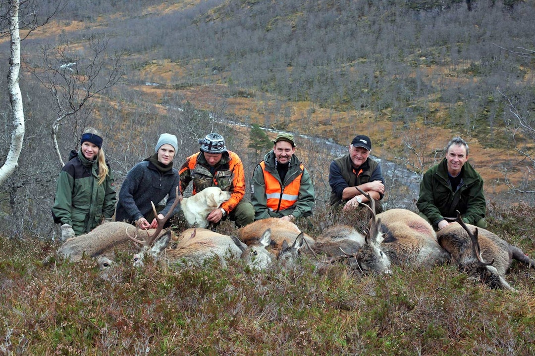 SOSIALT OG ARTIG: Mange hjortejegere på Vestlandet begynner jegerkarrieren som drivere under fellesjakt. Jaktens-fremtid-10