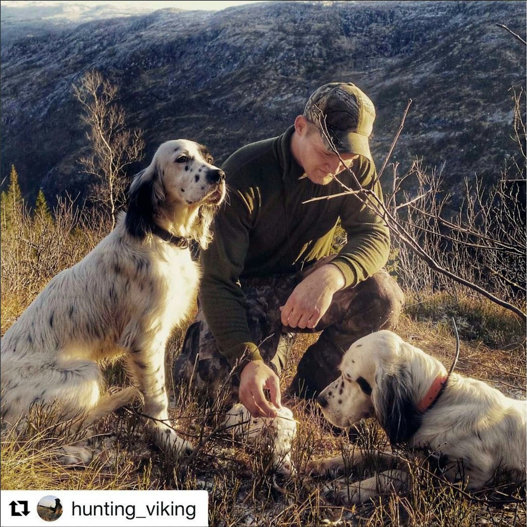 hunting_viking