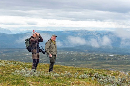 NOEN HELDIGE: Det var mange som ikke fikk kort, men kanskje har du vært heldig? Foto: Nils-Olav Talgøy NOEN HELDIGE: Det var mange som ikke fikk kort, men kanskje har du vært heldig? Foto: Nils-Olav Talgøy