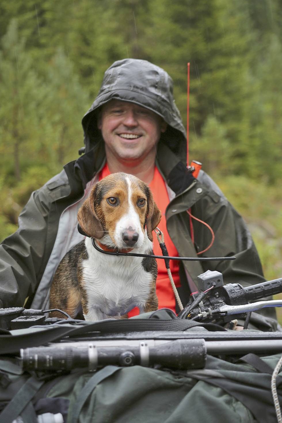 SAMJAKTET EKVIPASJE: Jan Flatebø og drevtispa Klingagårdens Sally har mange kondisjonskrevende mil i hjortelia – og flere skal det garantert bli. SAMJAKTET EKVIPASJE: Jan Flatebø og drevtispa Klingagårdens Sally har mange kondisjonskrevende mil i hjortelia – og flere skal det garantert bli.