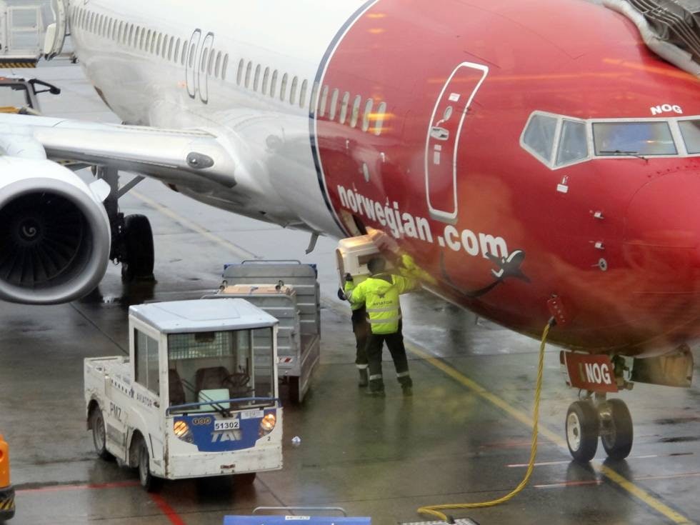 Ready for take off: Hundene håndteres forsiktig og manuelt. De plasseres alltid i fremre lasterom på store fly. Ready for take off: Hundene håndteres forsiktig og manuelt. De plasseres alltid i fremre lasterom på store fly.