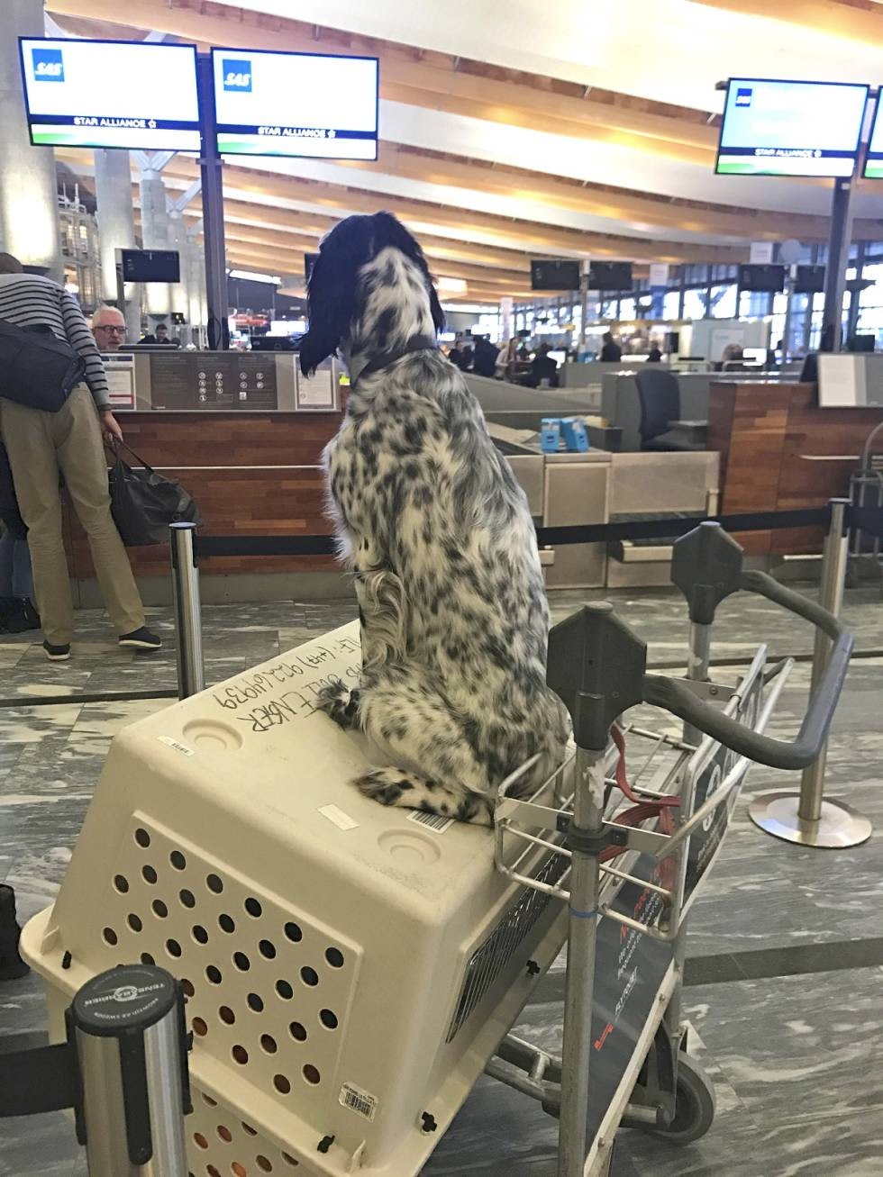 LEDIGE FLYSETTER: Lurer på om det er noen lekre tisper som skal med samme flight? LEDIGE FLYSETTER: Lurer på om det er noen lekre tisper som skal med samme flight?