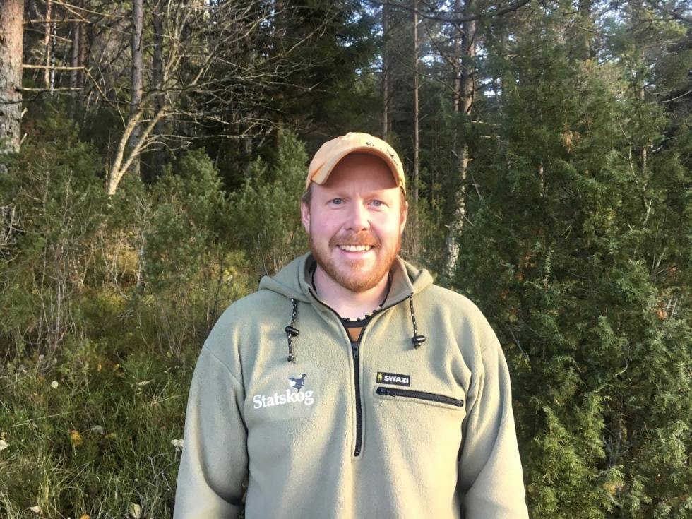 KONKURRANSE: – Sørharen kan rett og slett fortrenge den norske skogsharen, sier Kristian Eiken Olsen, fagsjef for jakt og fiske i Statskog. (Foto: Statskog)