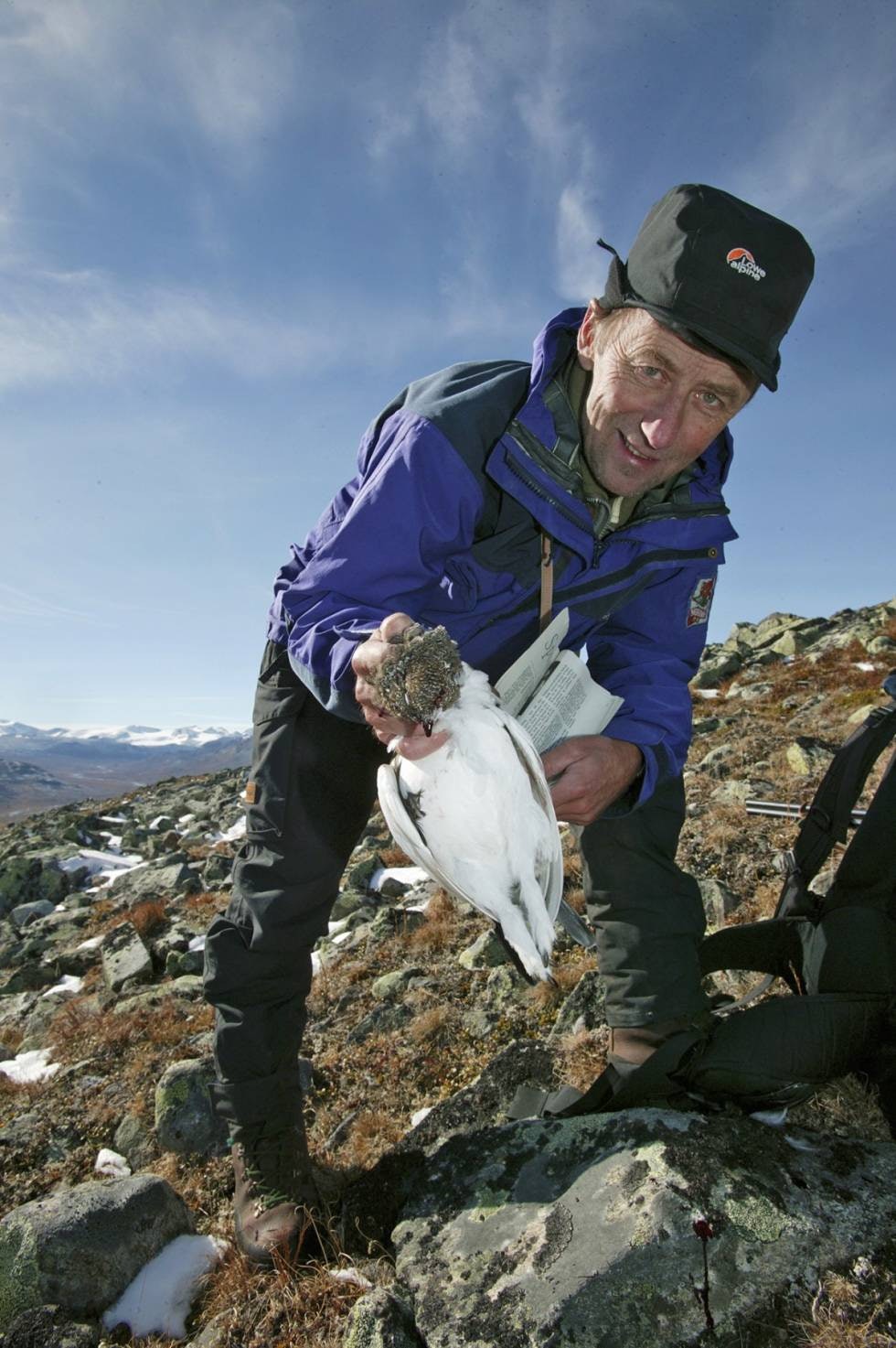 Kan bli bra: Fjelloppsyn Odd Repp i Lom fjellstyre tror den varme våren vil gi en god rypehøst med bra kull.