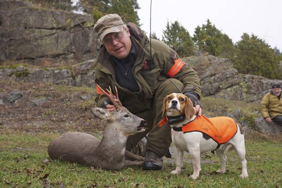 Ansvarlighet: Tom Erik Nilsen, leder for NJFFs viltutvalg, mener særlig jakthundeiere bør være ansvarlige og overholde båndtvangen når de veit hvilke egenskaper hunder generelt har.